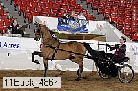 11buck_4867 proof