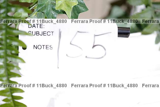 Proof 11buck_4880