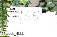 11buck_4880 proof