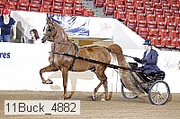 11buck_4882 proof