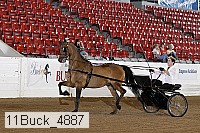 11buck_4887 proof