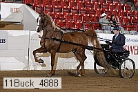 11buck_4888 proof