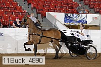 11buck_4890 proof
