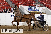 11buck_4891 proof