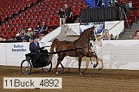 11buck_4892 proof