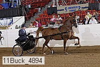 11buck_4894 proof