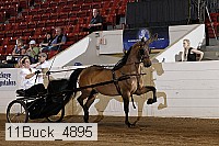 11buck_4895 proof