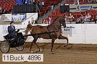 11buck_4896 proof