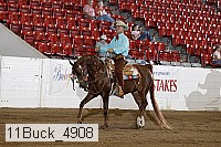 11buck_4908 proof
