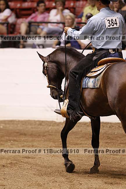 Proof 11buck_4910