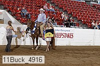 11buck_4916 proof