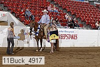 11buck_4917 proof