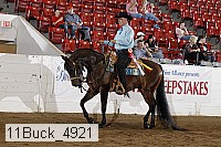 11buck_4921 proof
