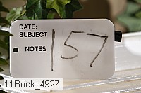 11buck_4927 proof