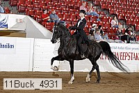 11buck_4931 proof