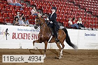 11buck_4934 proof