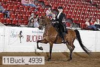 11buck_4939 proof