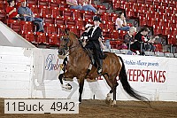 11buck_4942 proof