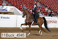 11buck_4945 proof