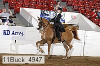 11buck_4947 proof