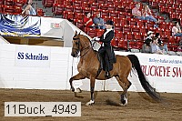 11buck_4949 proof