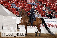 11buck_4950 proof