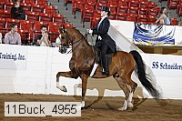 11buck_4955 proof