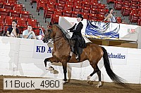 11buck_4960 proof