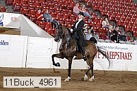 11buck_4961 proof