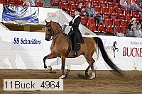 11buck_4964 proof