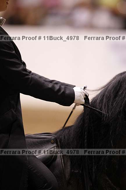 Proof 11buck_4978