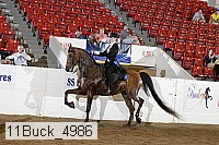 11buck_4986 proof