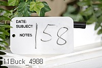 11buck_4988 proof