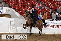 11buck_4992 proof
