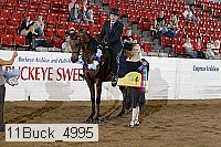 11buck_4995 proof