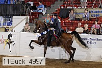 11buck_4997 proof