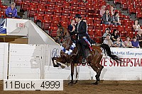 11buck_4999 proof