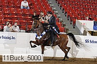 11buck_5000 proof