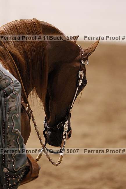 Proof 11buck_5007