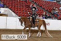 11buck_5009 proof