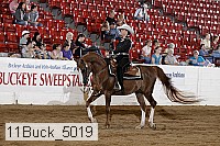 11buck_5019 proof