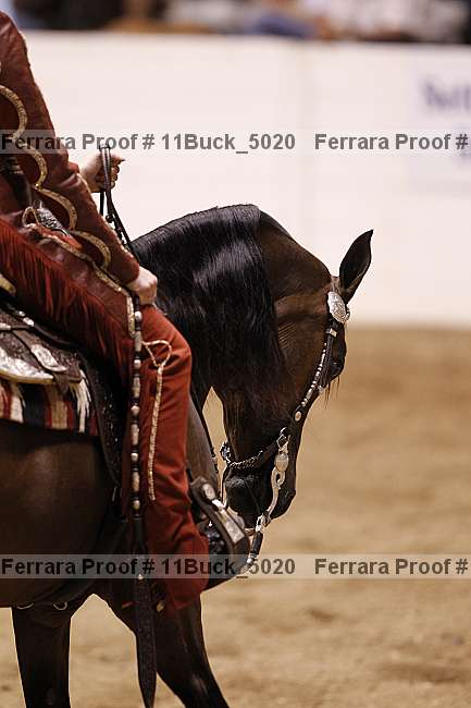 Proof 11buck_5020