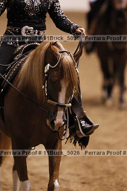 Proof 11buck_5026