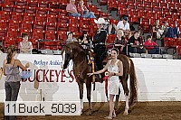 11buck_5039 proof