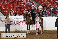 11buck_5040 proof