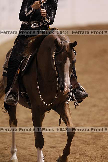 Proof 11buck_5043