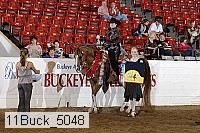 11buck_5048 proof