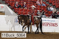 11buck_5064 proof