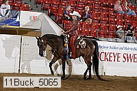 11buck_5065 proof