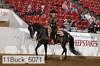 11buck_5071 proof